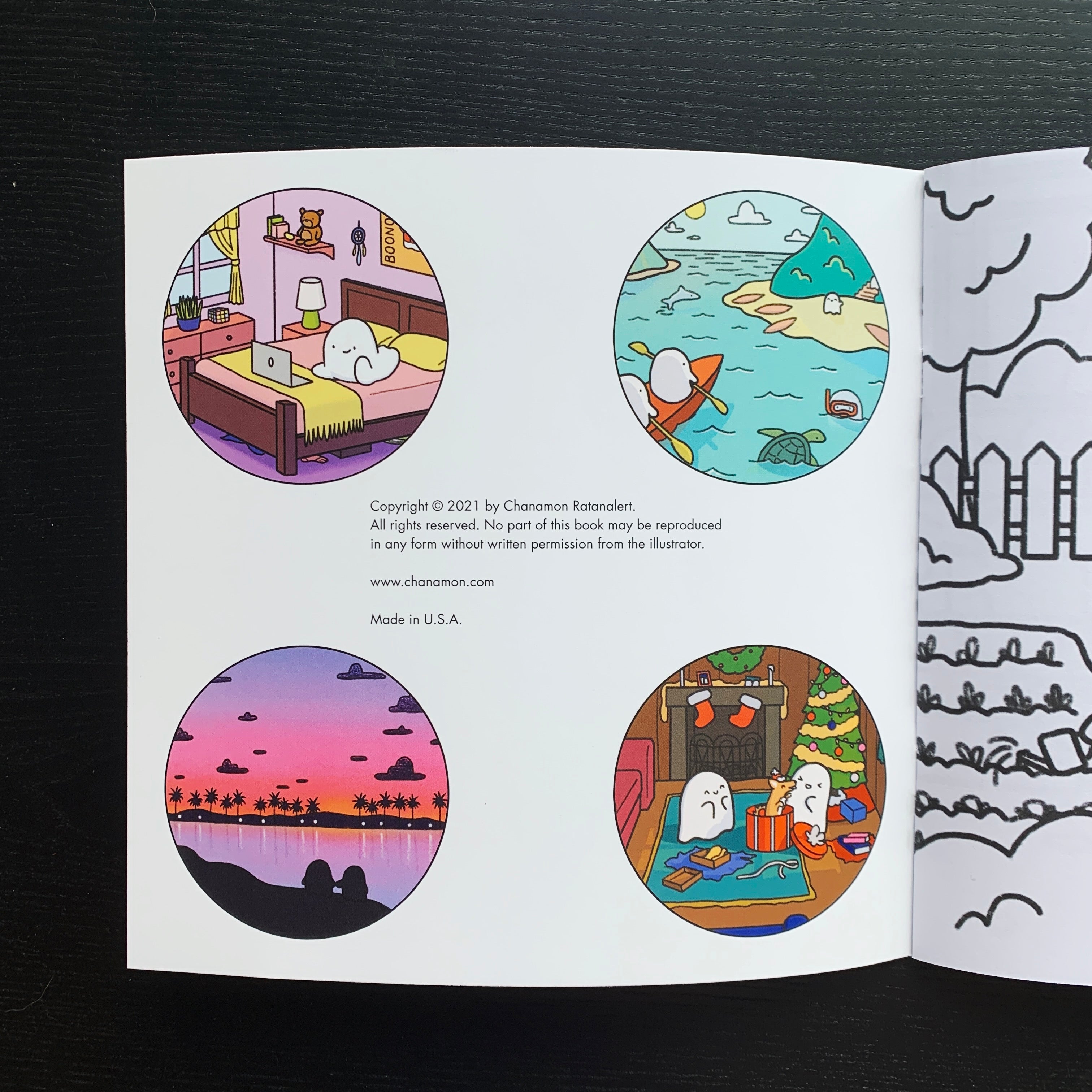 Front inside cover of book with 4 spot illustrations and book copyright information