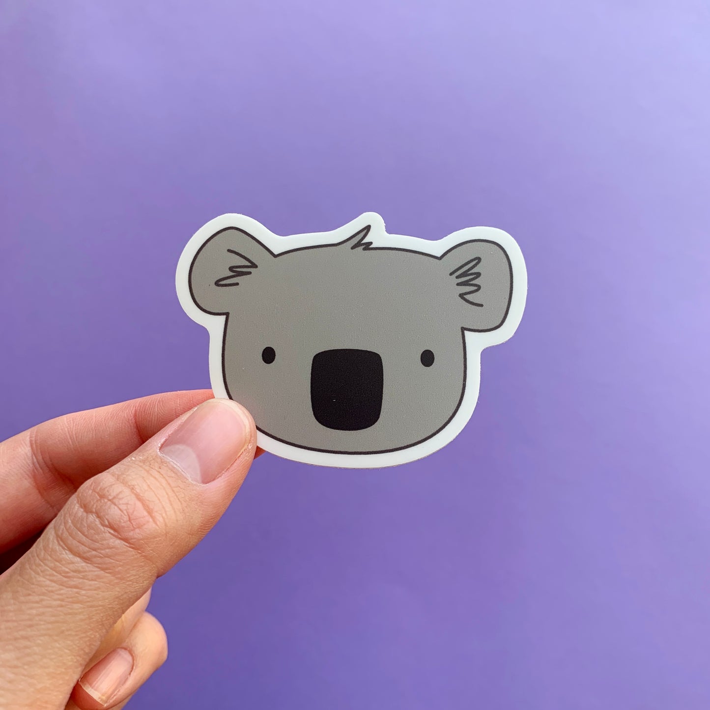 Koala Sticker