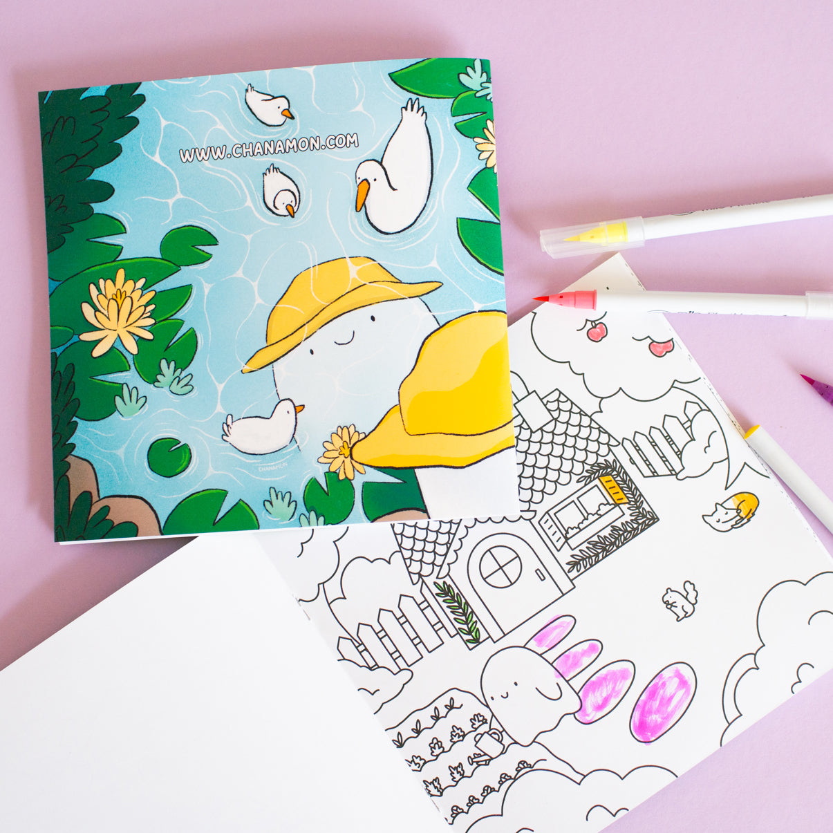 The back cover featuring an illustration of a ghost wearing a rain hat looking at its reflection in a pond with ducks floating in it.
